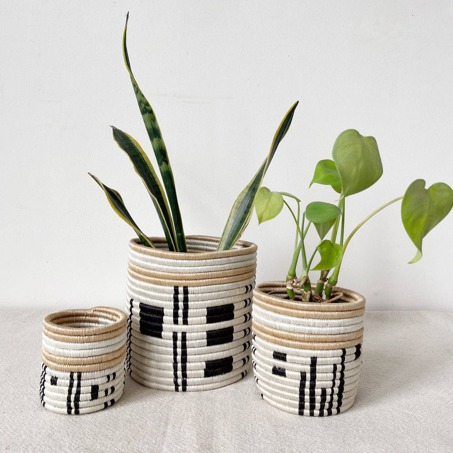 Amsha - Storage Plant Basket Busengo