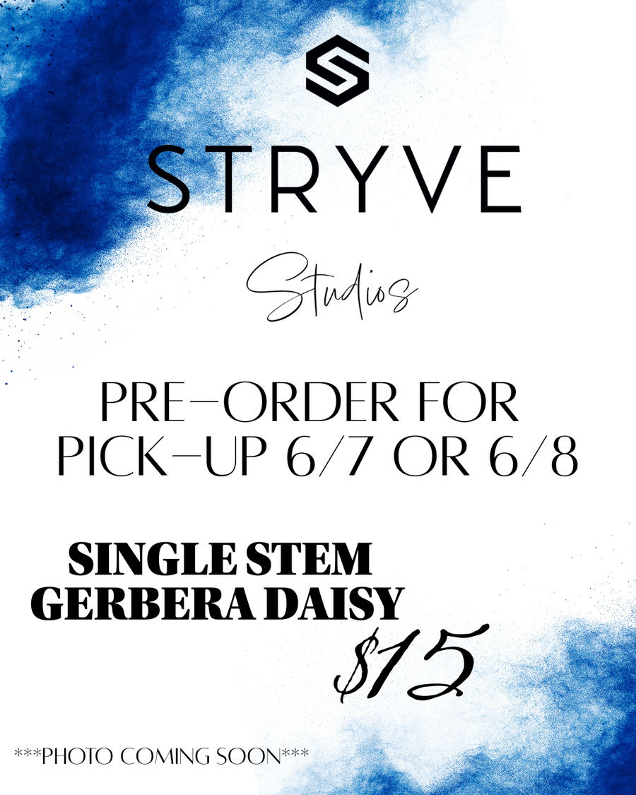 STRYVE - Pre-Sale - Single Stem Gerbera Daisy