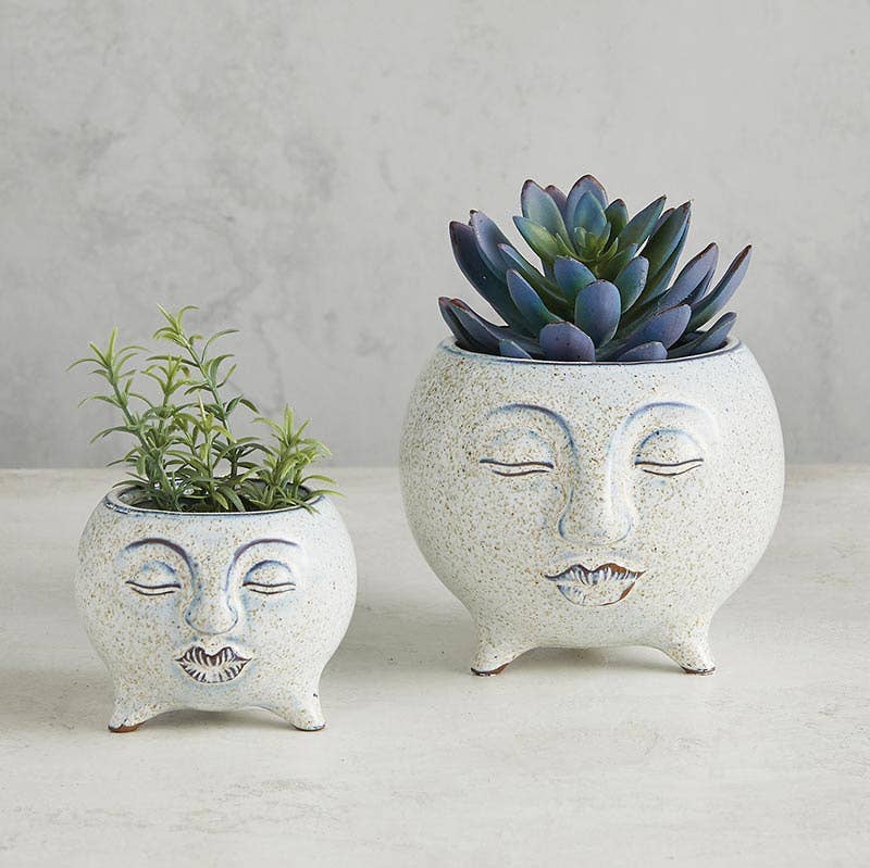 47th & Main (Creative Brands) - Face Pot