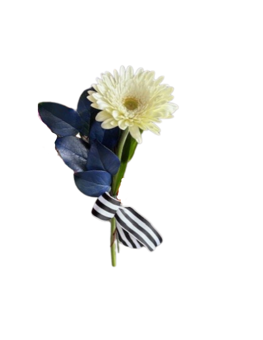 STRYVE - Pre-Sale - Single Stem Gerbera Daisy