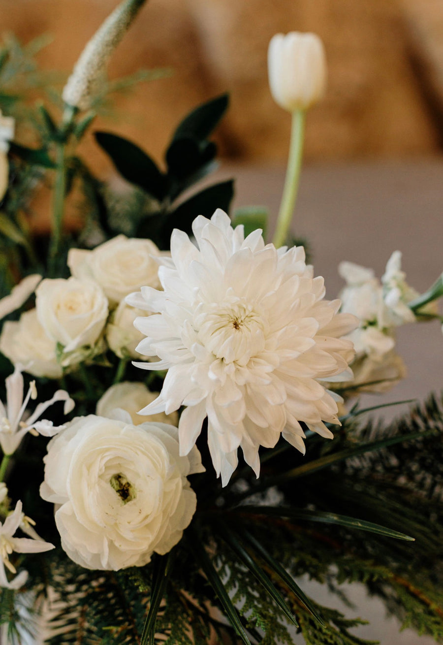 Snowbound Colllection - Vased Design