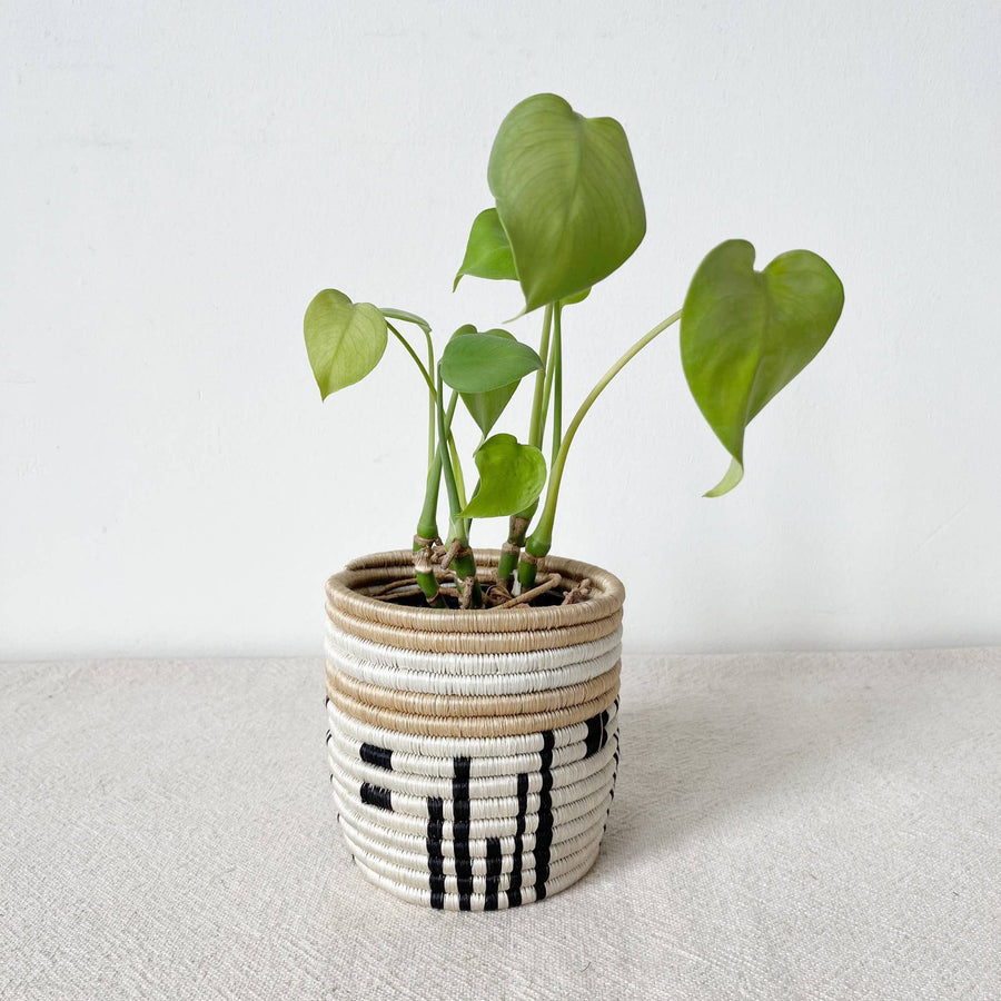 Amsha - Storage Plant Basket Busengo