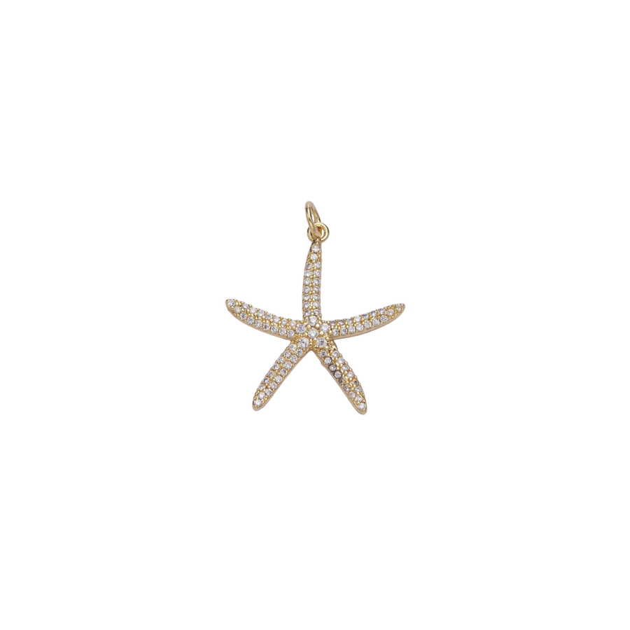 It's Especially Lucky Star Charm