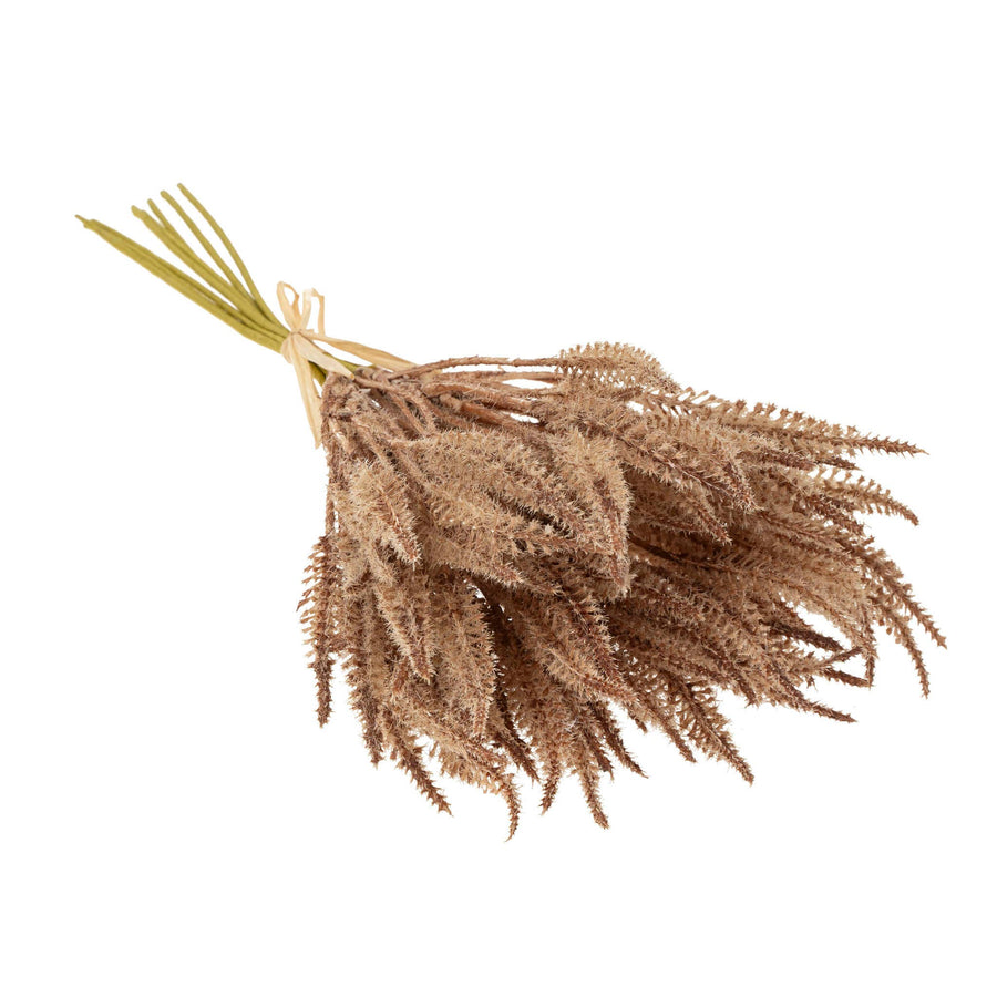 Indaba Trading - Mini Pampas Grass Bundle, Light Brown