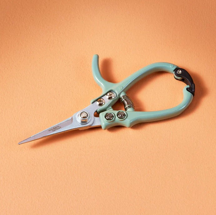 Modern Sprout - Shears