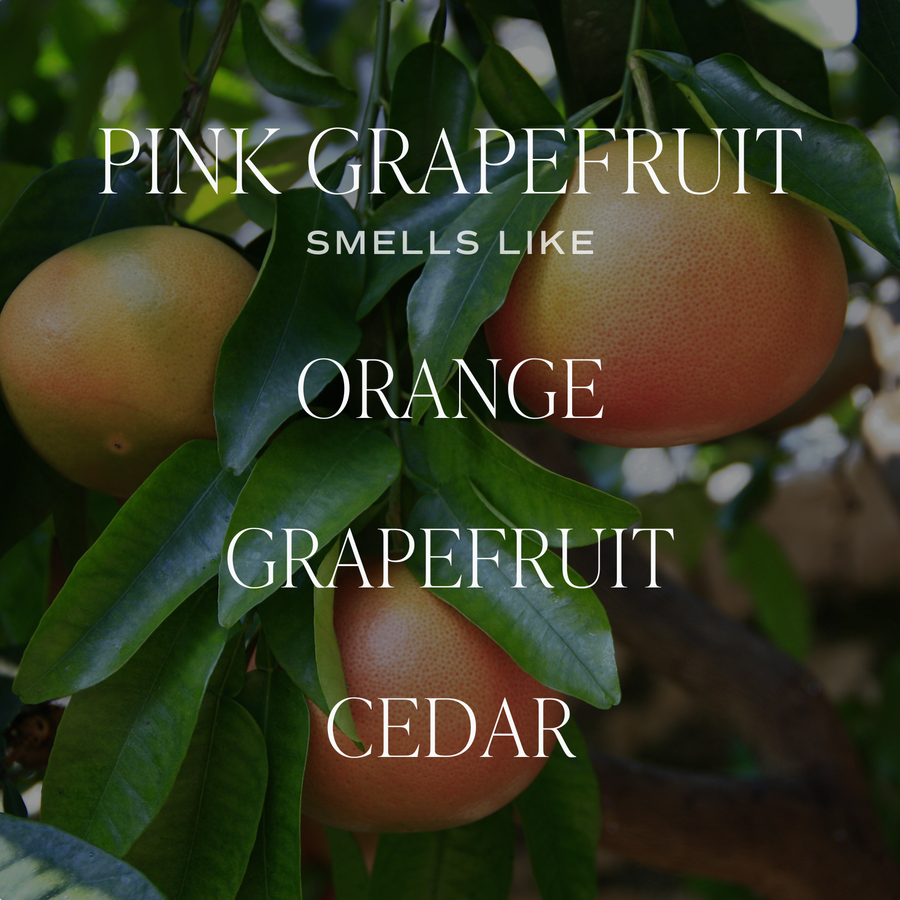 Pink Grapefruit Candle- Sweet Water Decor