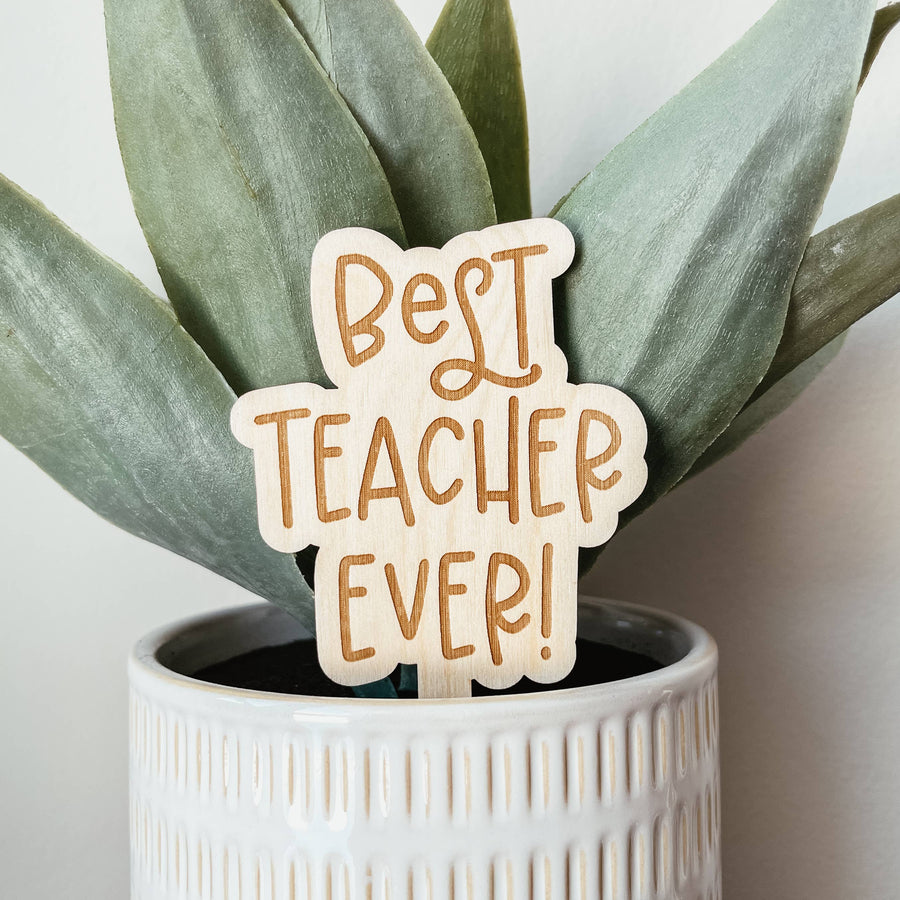 Best Teacher Ever Plant Stake (with Plant Option)