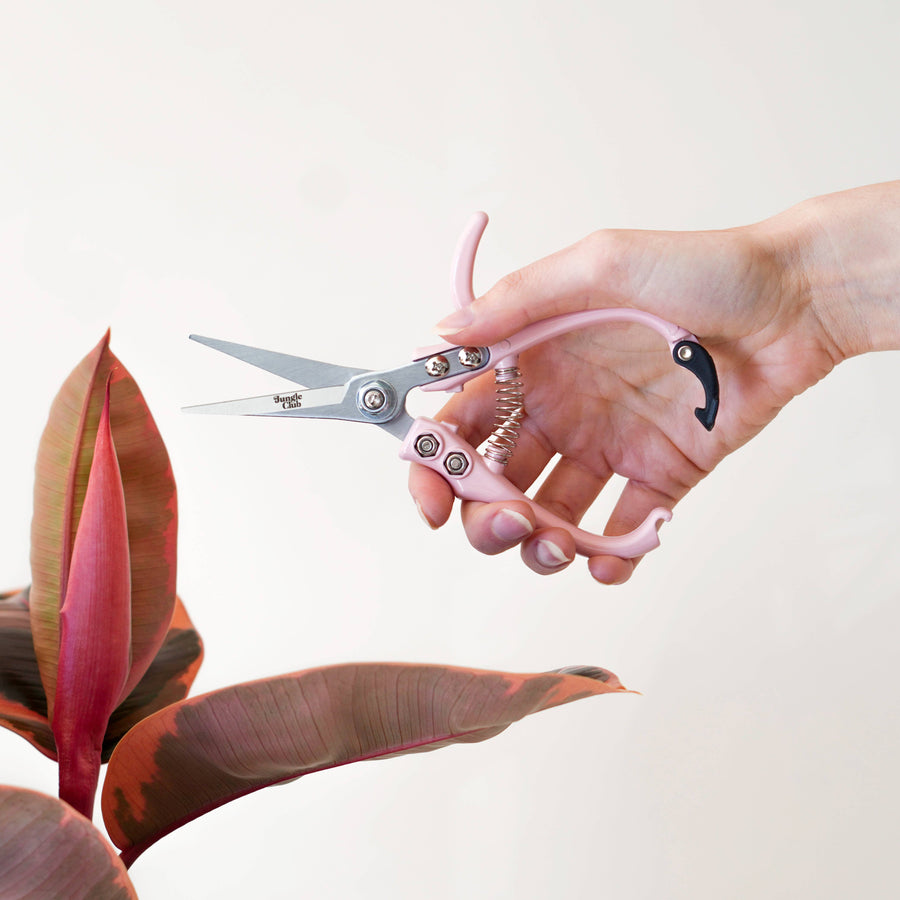 Jungle Club - Pruning Shears - Pink