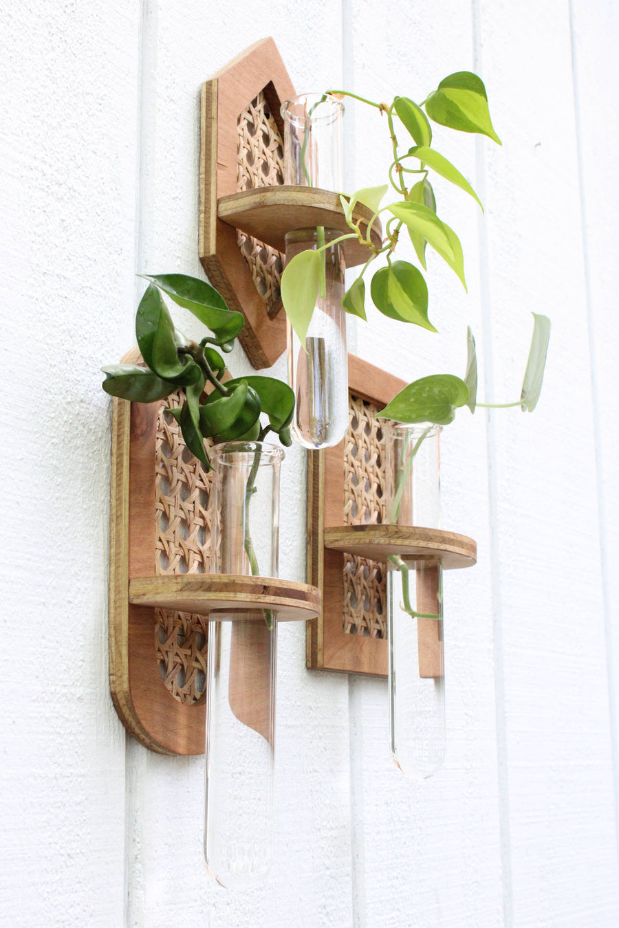 Dunn Rustic - Rattan Propagation Planters